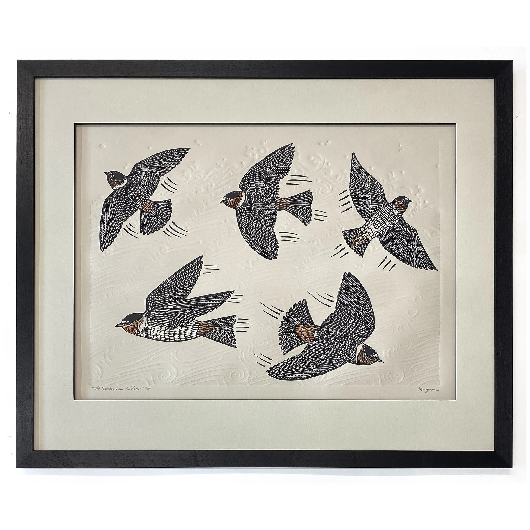 Cliff Swallows 4-14 framed sm.jpg