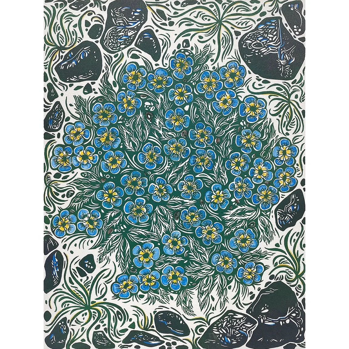 Apine Forget-me-nots sq.jpg