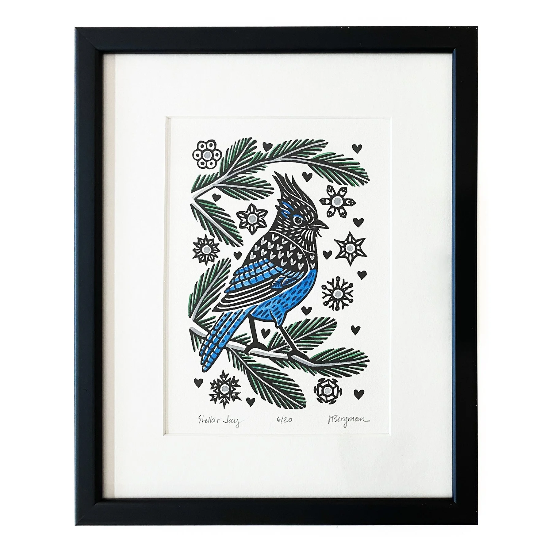 Stellar Jay 6-20 framed sm.jpg