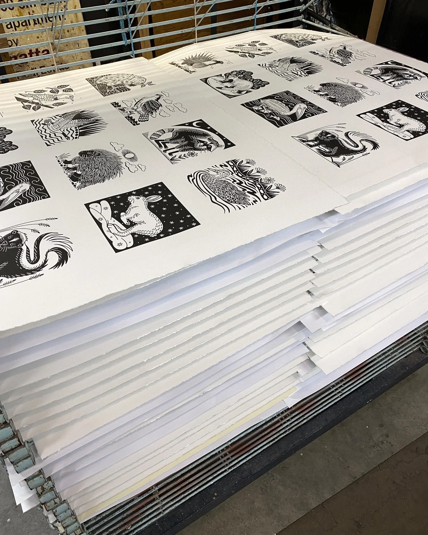 Silkscreens on rack.JPG