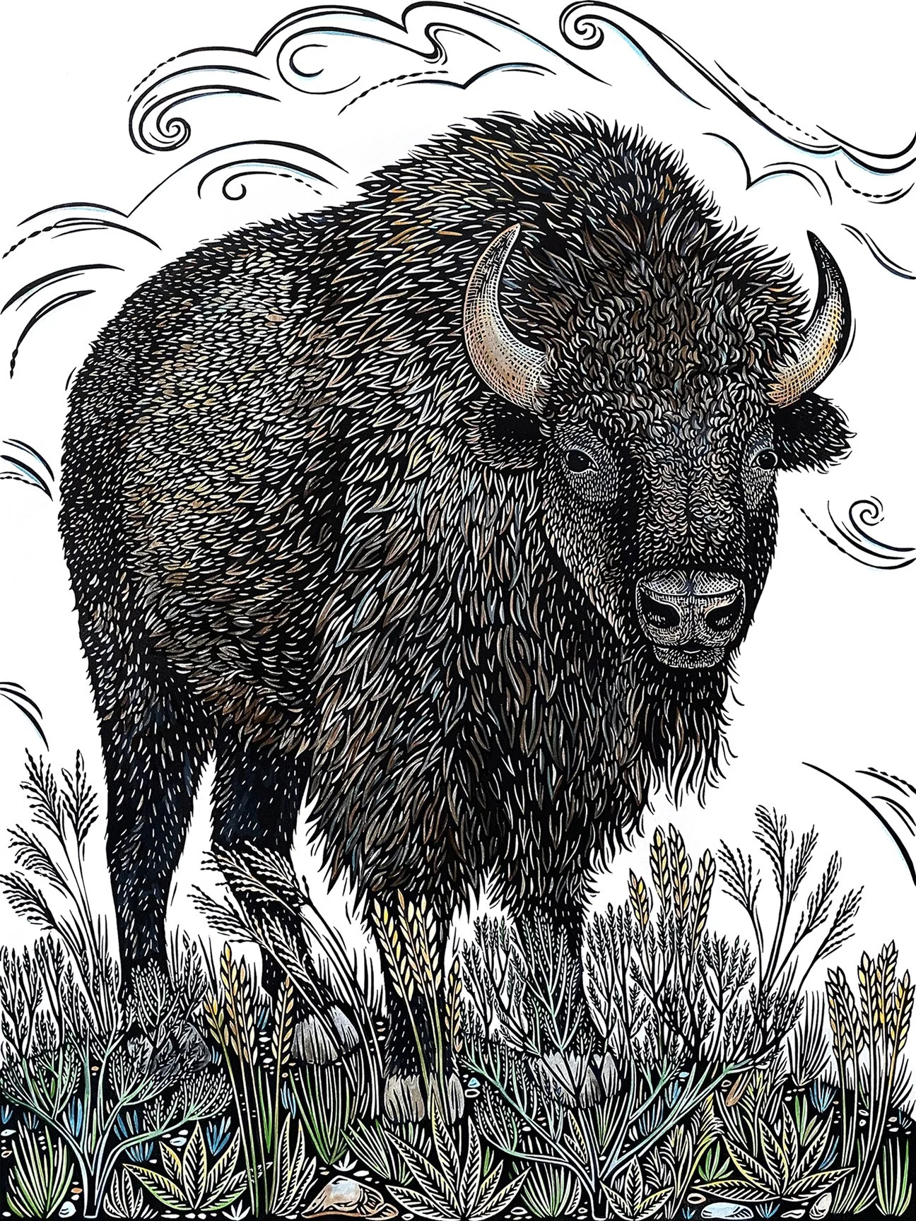 Bergman Bison painted.jpg
