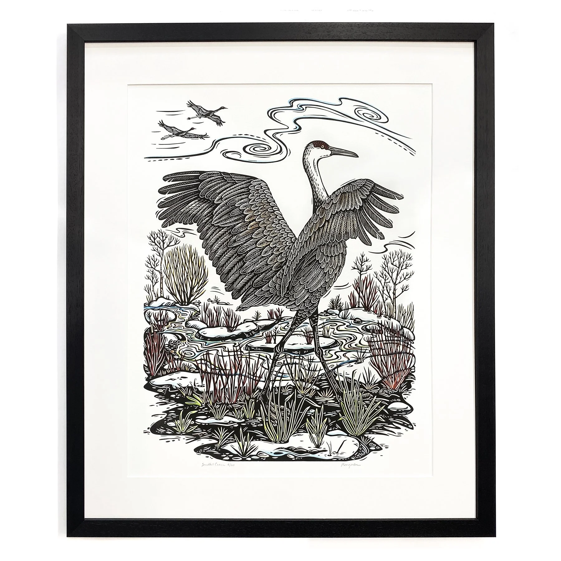 Sandhill Crane 5-20 framed sm.jpg