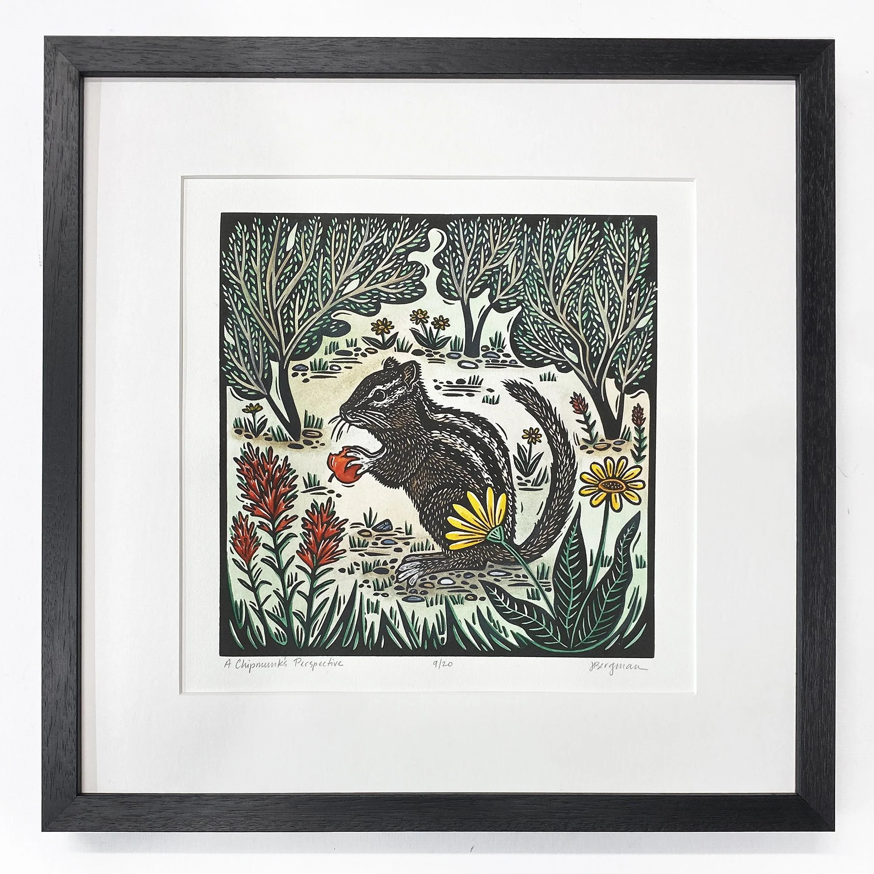 Chipmunk 9-20 framed sm.jpg