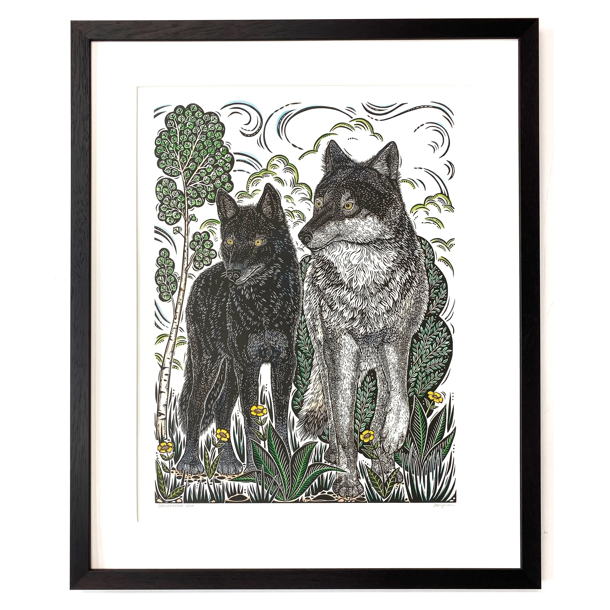 Colorado Wolves 2-20 framed.jpg