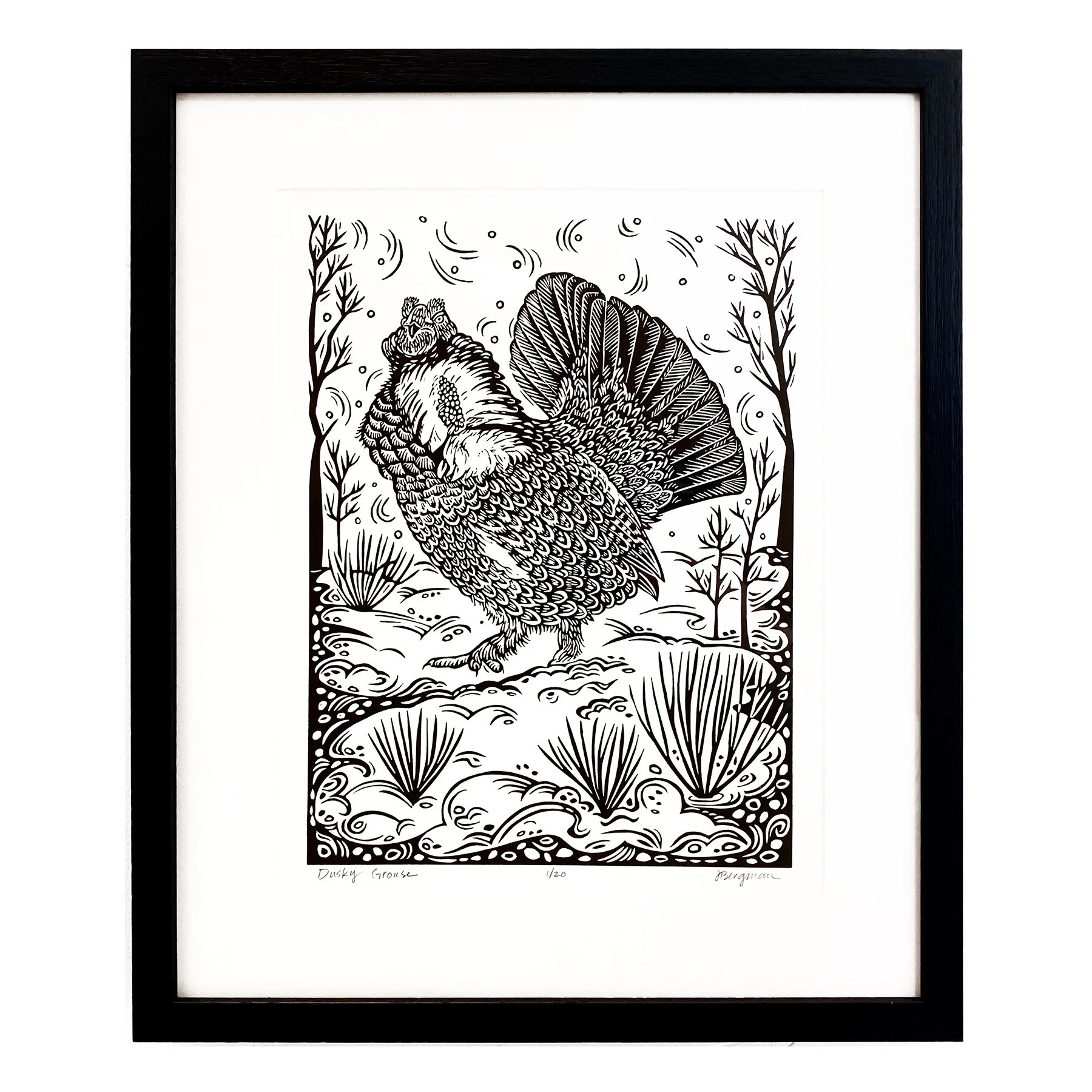 Dusky Grouse 1-20 framed sm.jpg