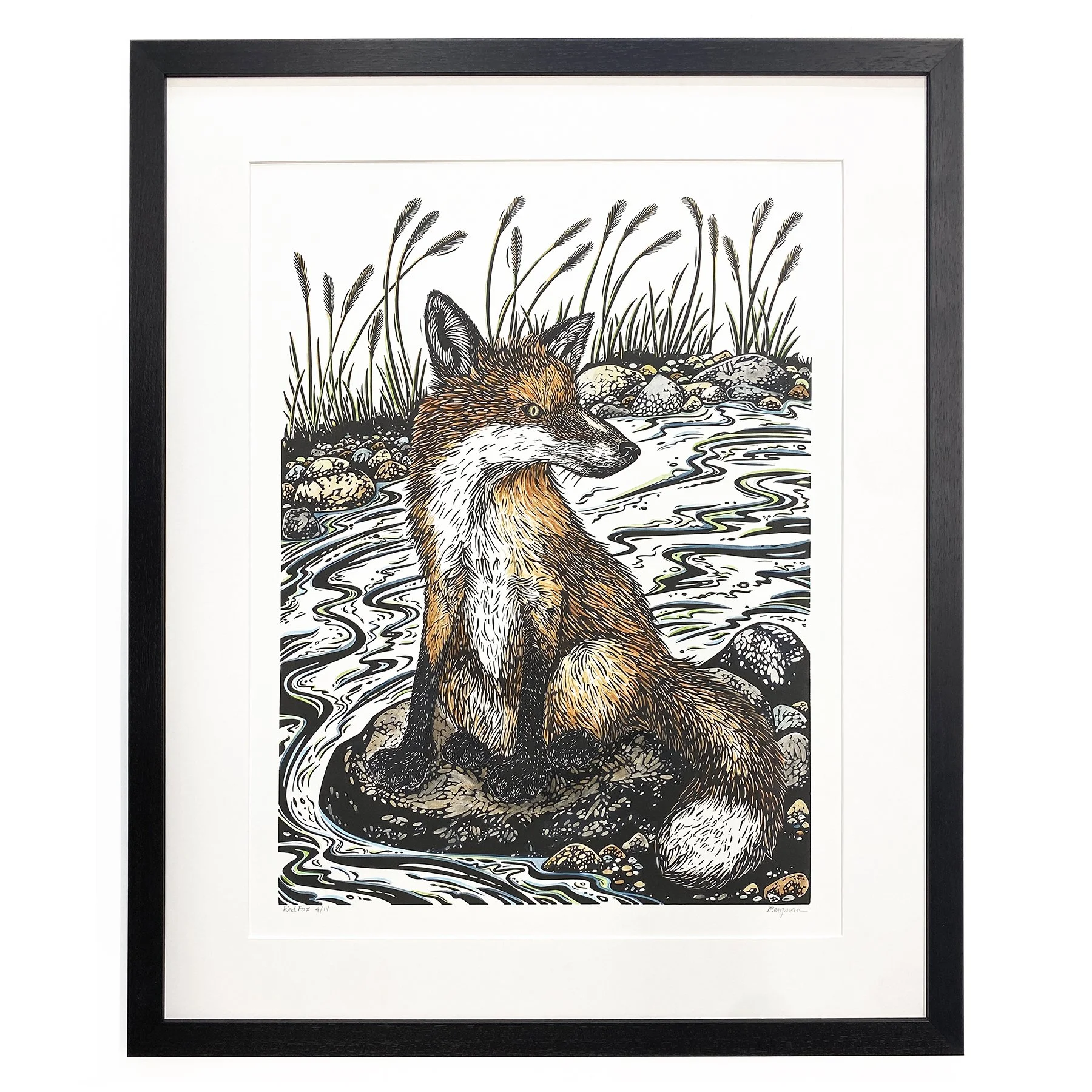 Fox 4-14 framed sm.jpg