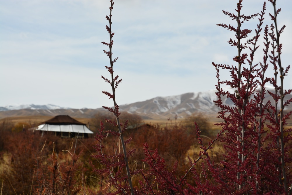 Financial Times: A New Eco Camp in China's Gansu Province
