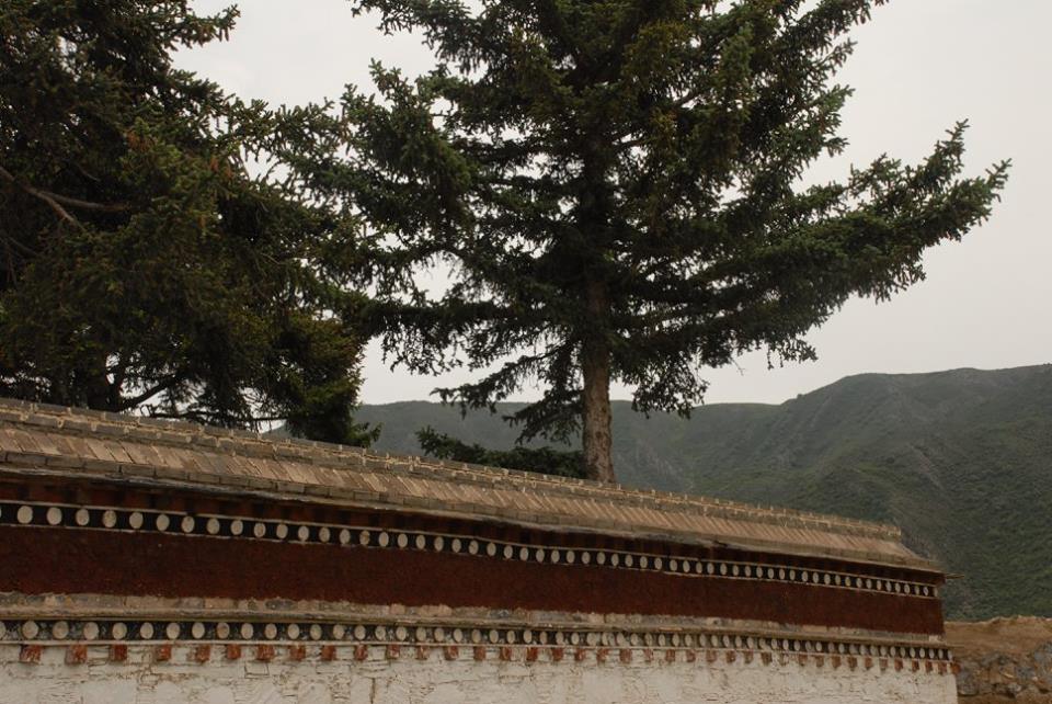 Blog_Kangtsa Monastery._2.jpg