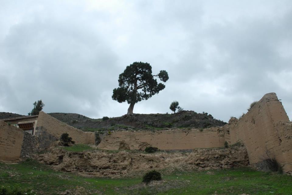 Blog_Kangtsa Monastery._8.jpg