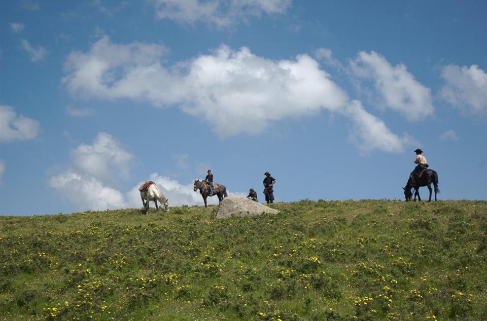 Blog_Horse journey on the grassland_2.jpg