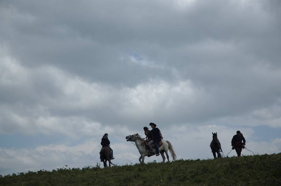 Blog_Horse journey on the grassland_3.jpg