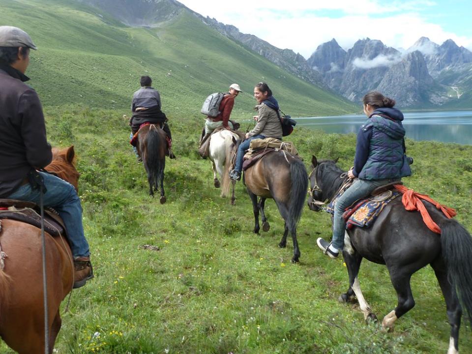 Blog_Horse journey on the grassland_6.jpg