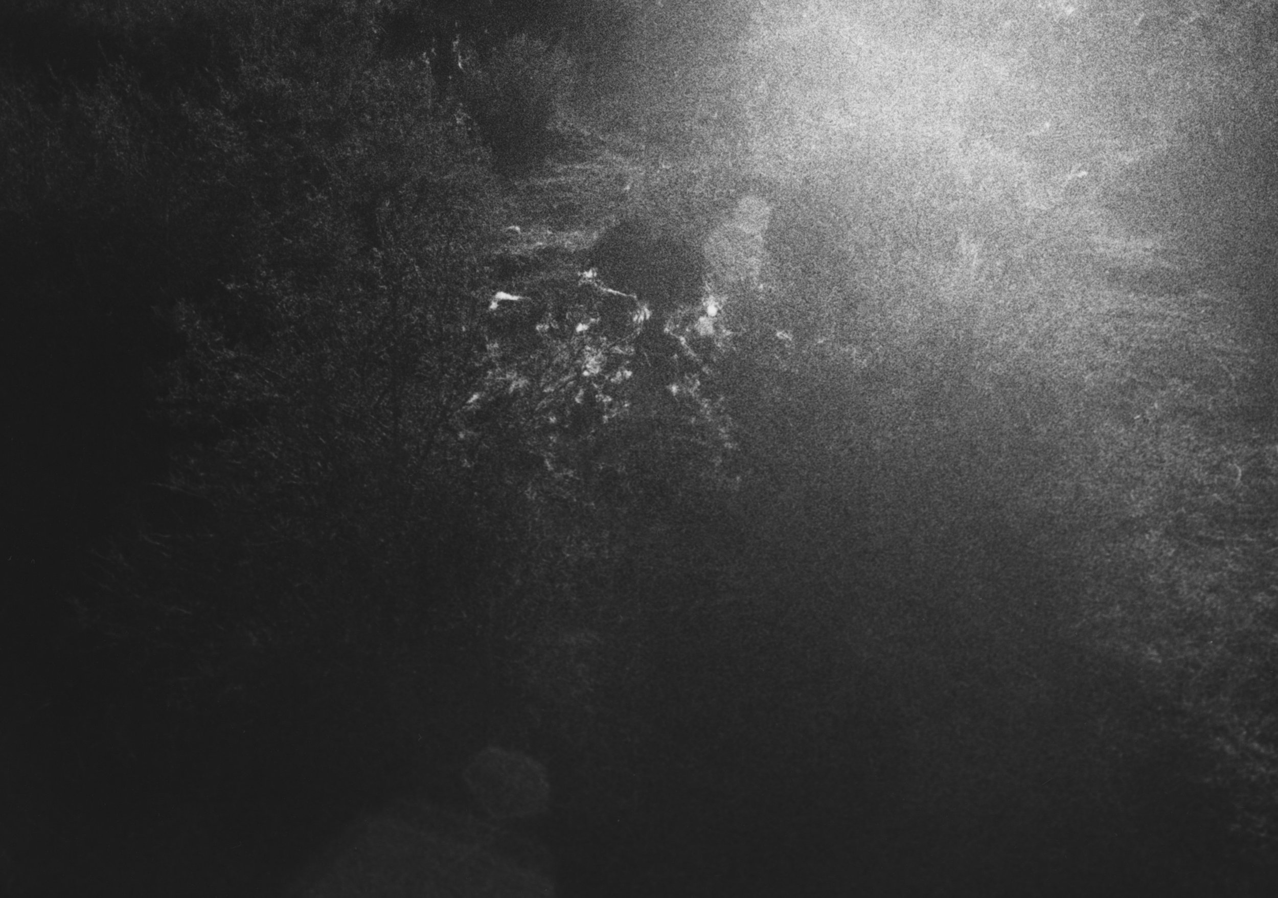 The Tides of the Full Moon