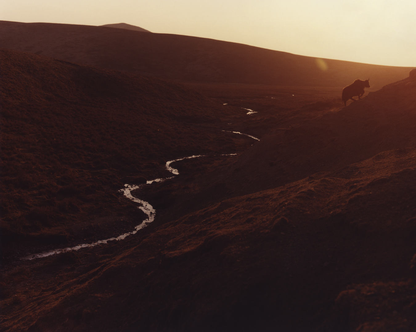 The Deepening Winter