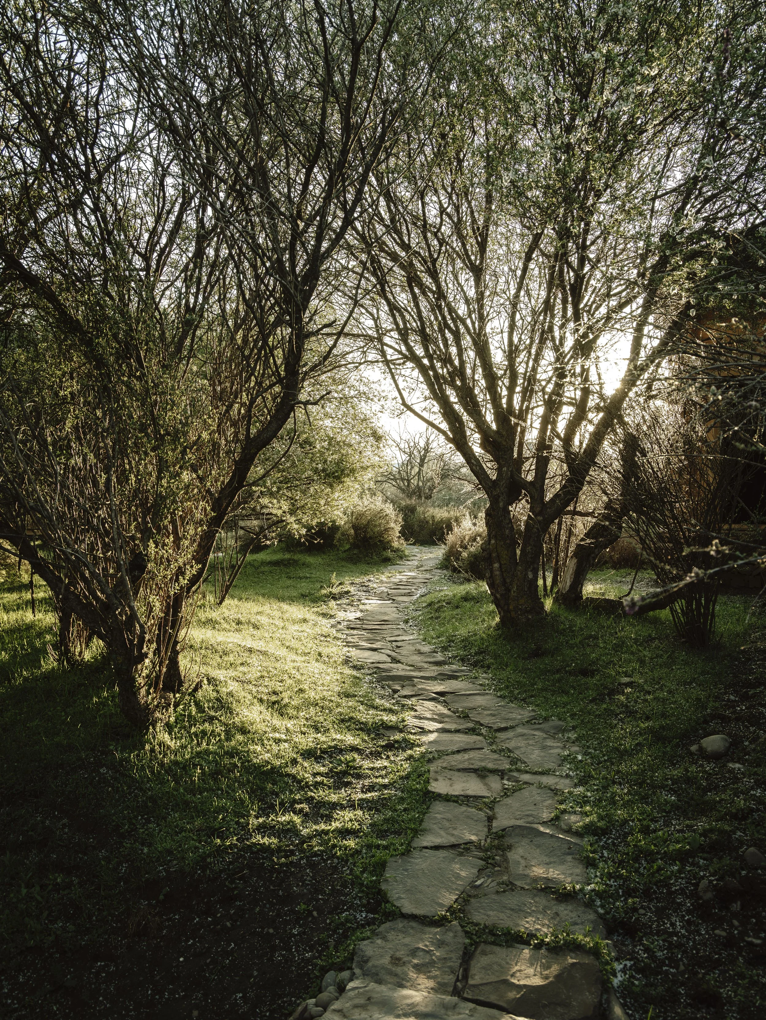 New Year Reflections