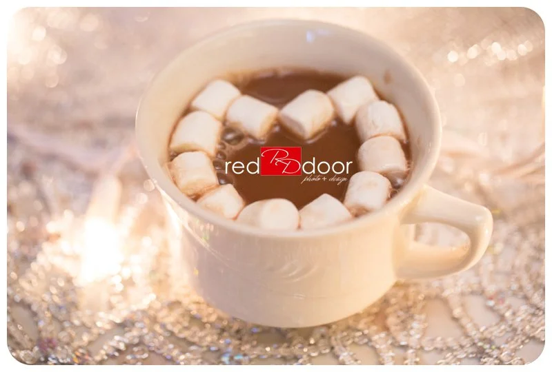 Snow + Love = Perfect Wedding.  Jester Park Wedding