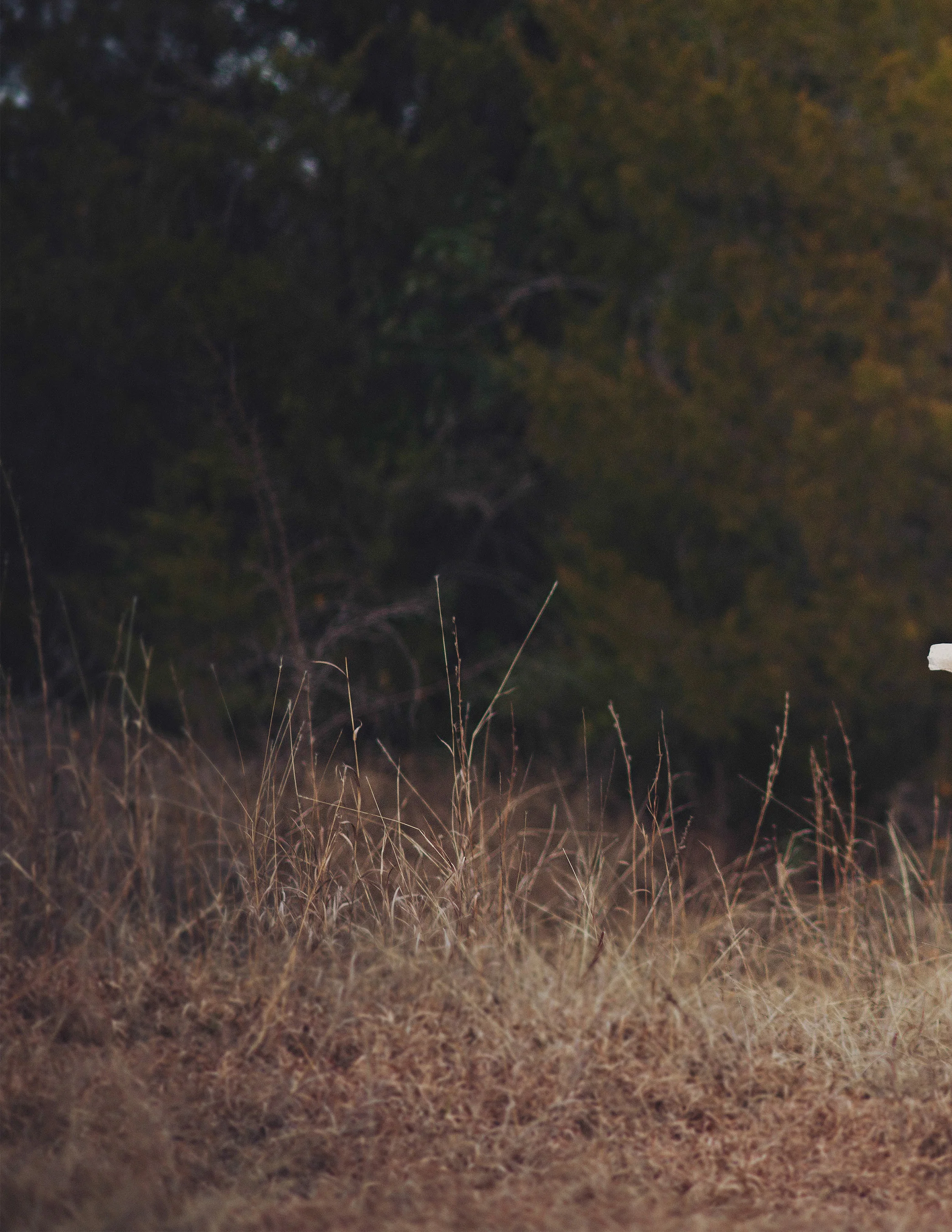 What to Wear Guide - Digital PDF-30-Left.jpg