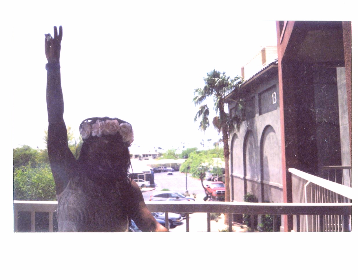 img009.jpg