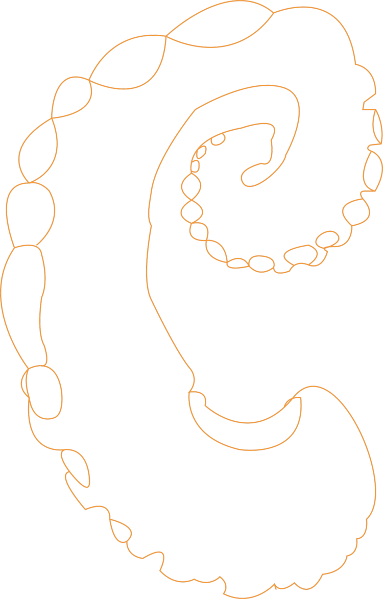 Octopus-e from Found Typeface