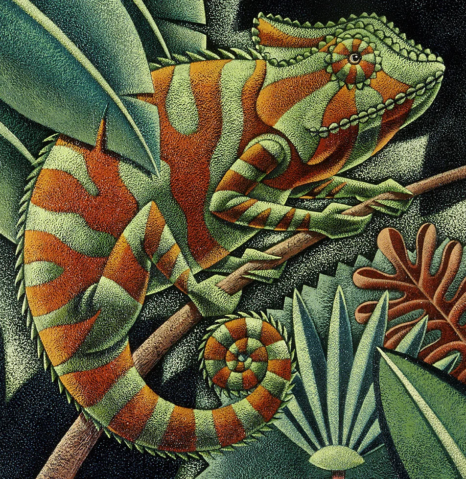 21chameleon1000.jpg