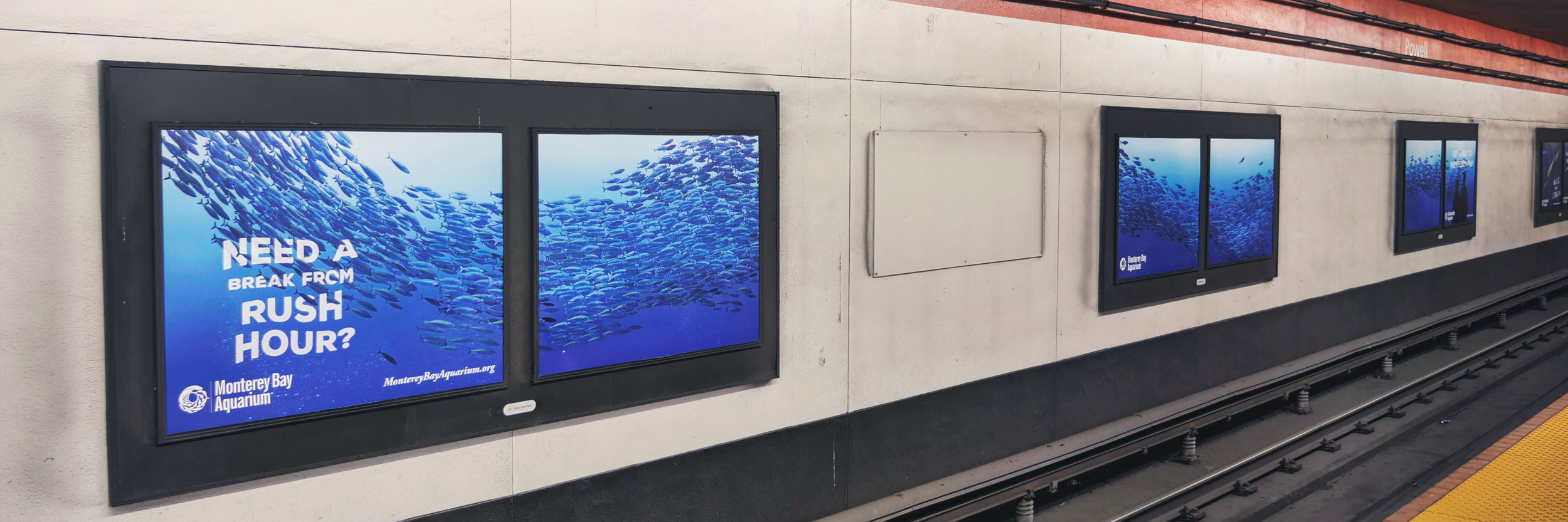 2sheet_sardines.jpg