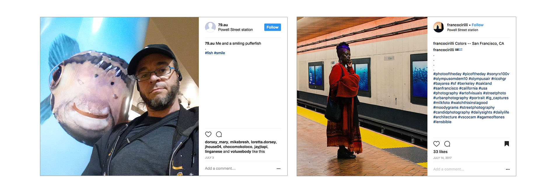 We created a series of interactive bus shelters showcasing cuttlefishes unique ability to change color. When people stopped to admire her, she assumed whatever color they were wearing and shared some friendly compliments. We also took the aquarium’