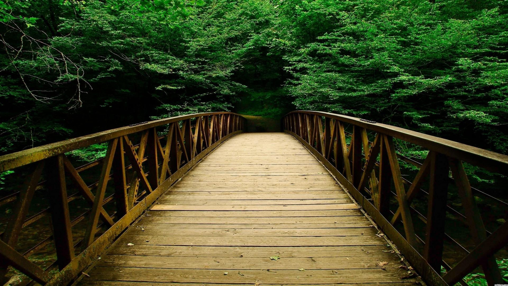 Bridge-Bridges-Nature-Forest-Forests-Wallpaper-hd-wallpaper-1920x1080-6-50a1a17161d8e-5066.jpg