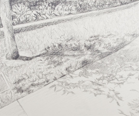 Shadow Sketch