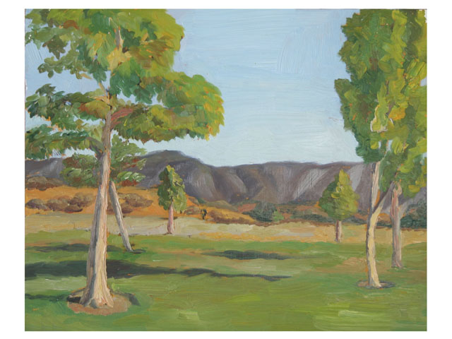 Afternoon Park
