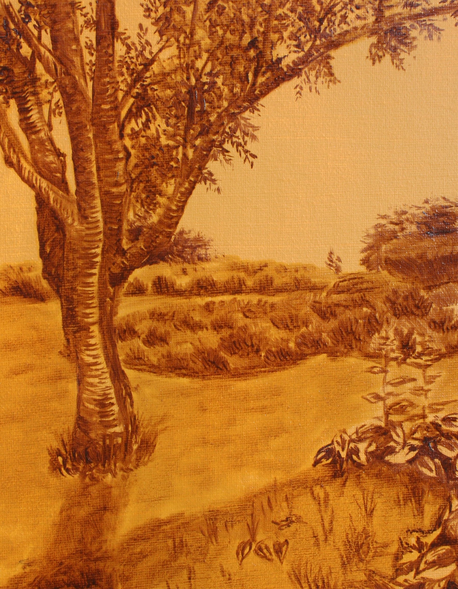 Lawn Sketch