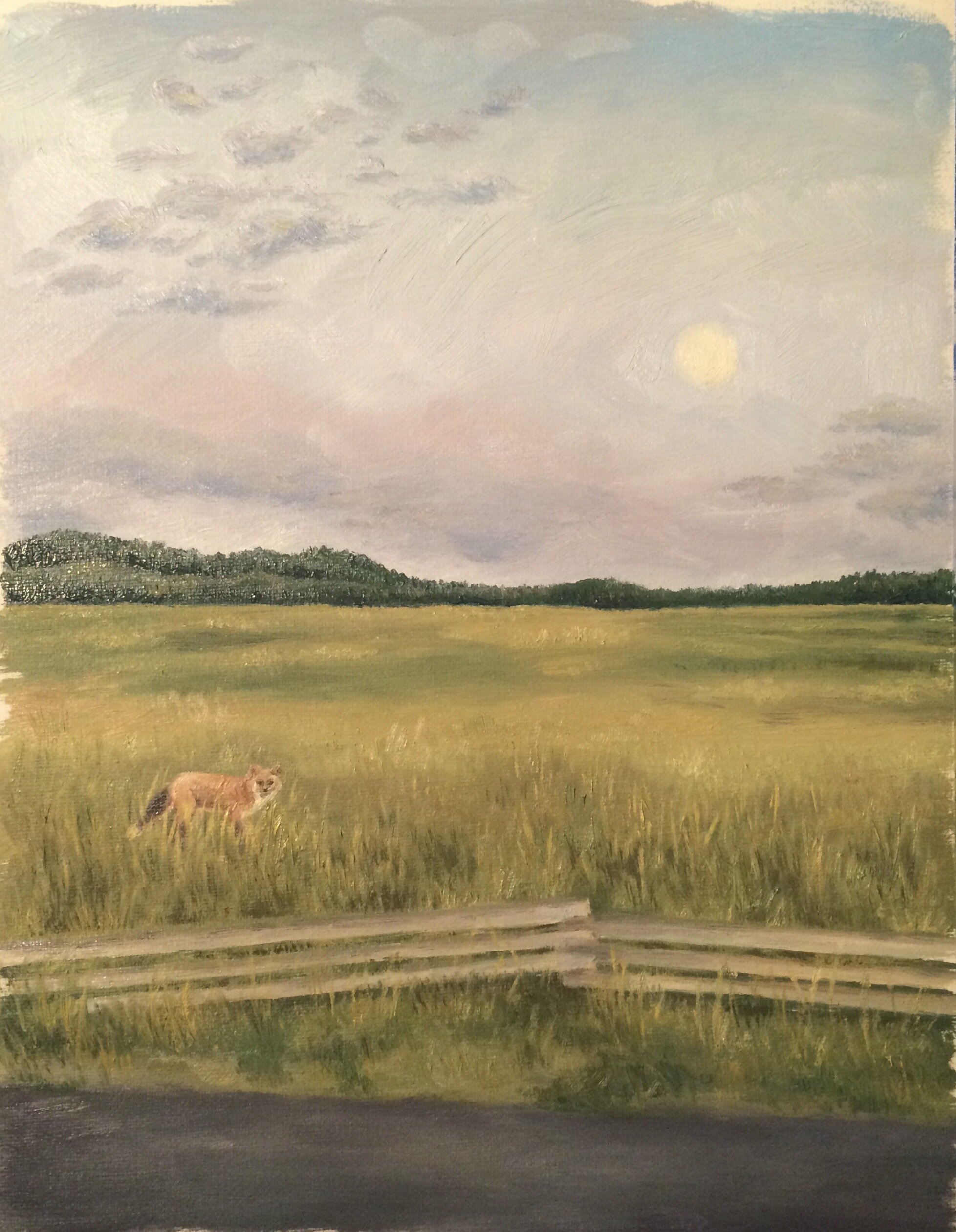 Lone Fox