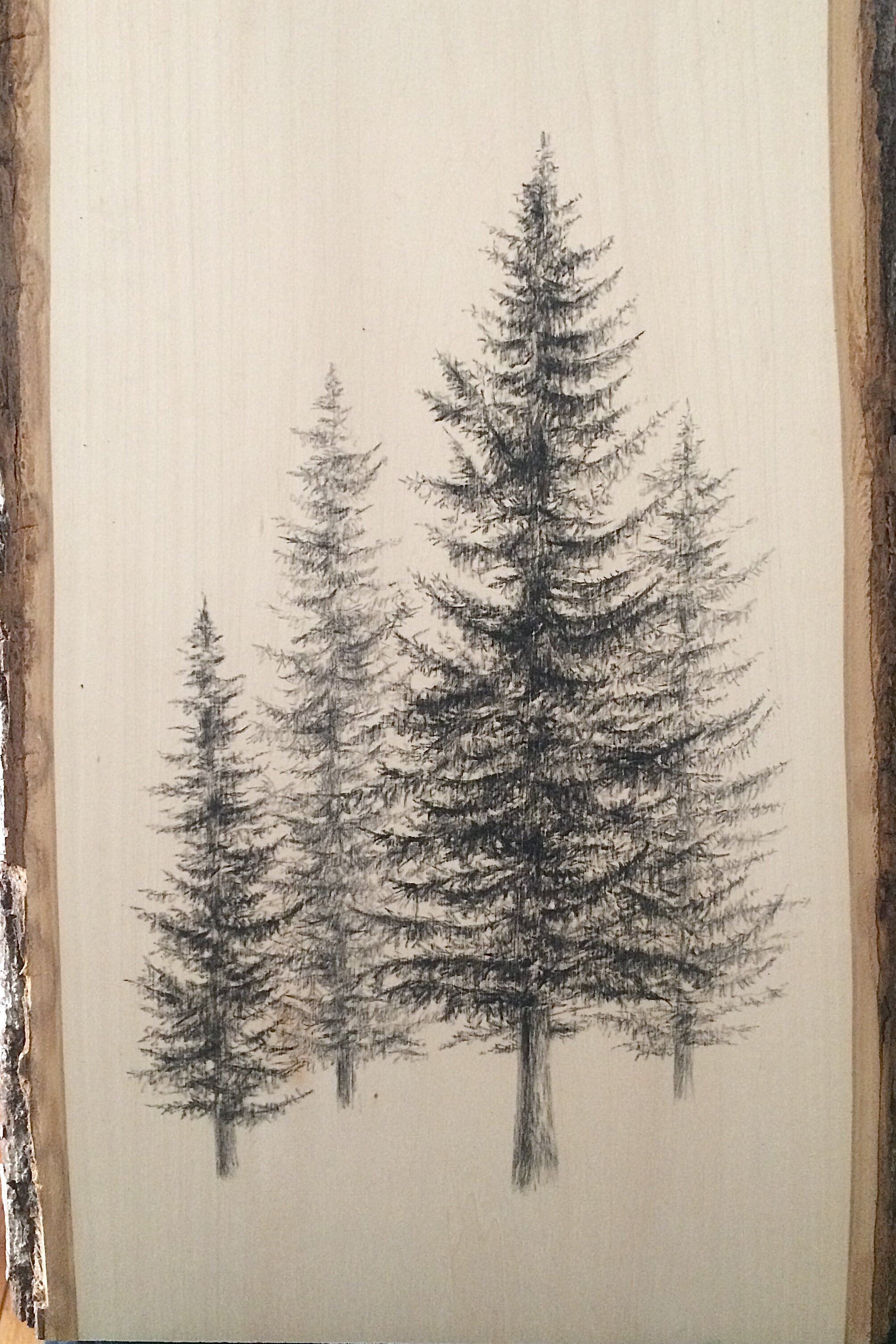 Pines