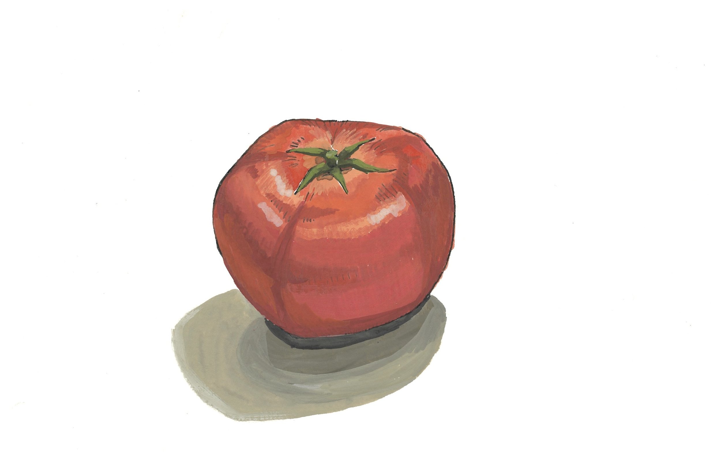 tomato ink gouache.jpg