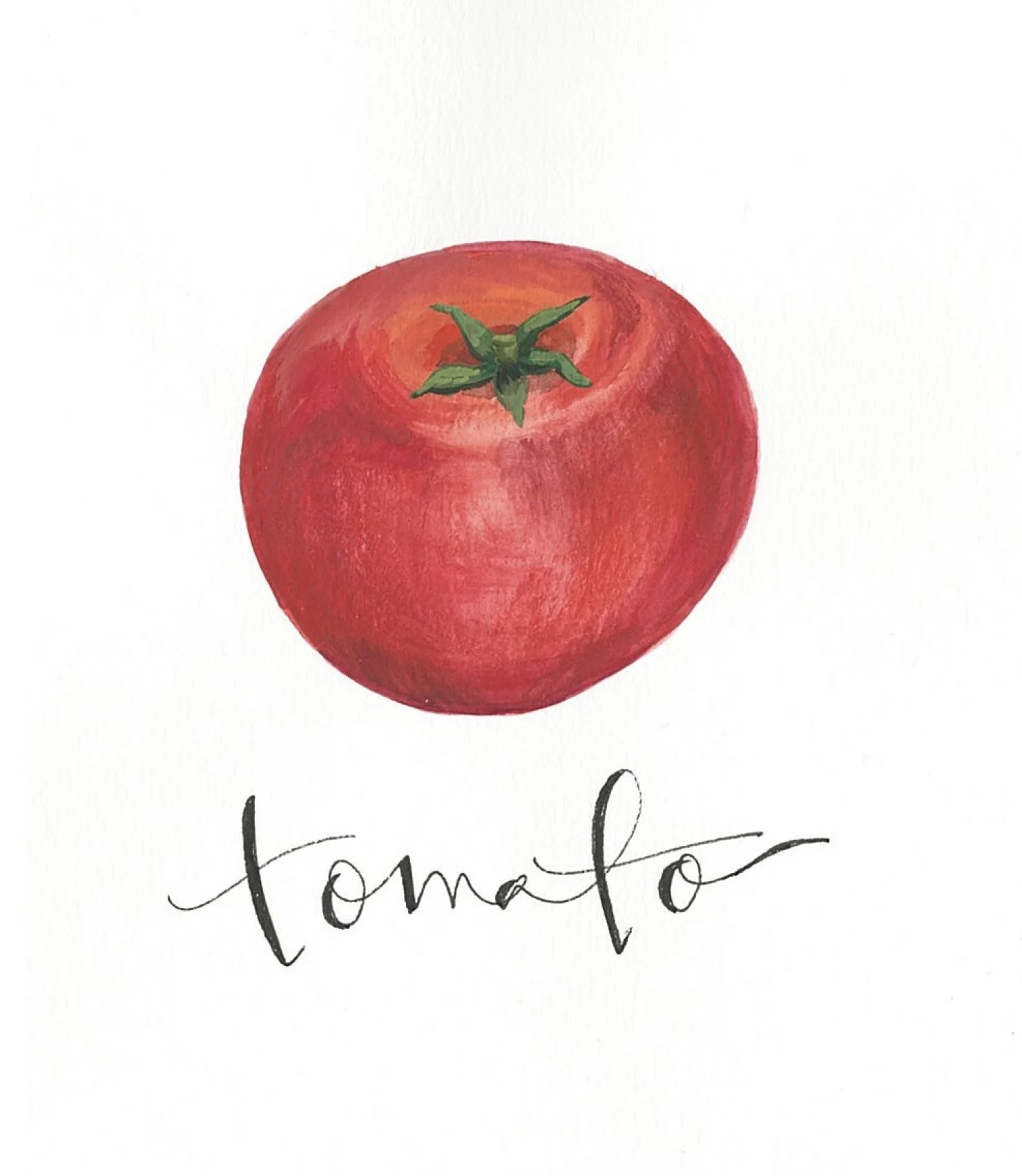 tomatoe simple gouache ink.jpg