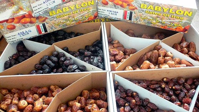 After the initial shipment of dates met their untimely end, Al-Farez remained determined to stock my store, arranging for 10 boxes to be airlifted out of Baghdad direct to New York City via DHL. For three weeks the small parcel underwent inspection by Homeland Security, US Customs and Border Patrol, the USFDA and the USDA. At one point a US Customs agent determined that the shipment was illegal since we were “at war with Iraq.” Finally the dates reached the store and customers flocked, eager to try the fruit that had now interrogated and scandalized every government agency from Baghdad to Damascus to New York. A fruit that asked questions. 