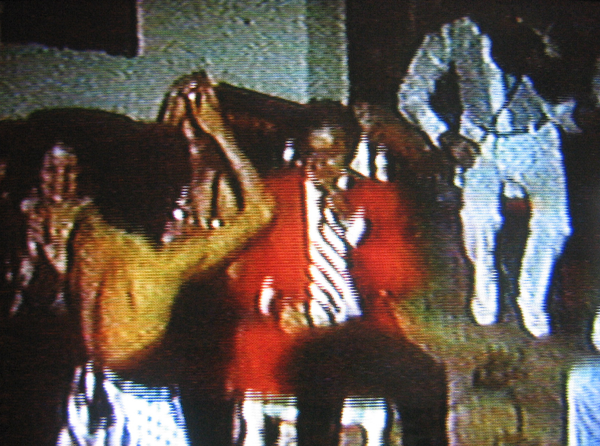 The restaurant also hosted Tuning Baghdad , which provided a soundtrack for the dining experience. A project initiated by independent curator Regine Basha—our other co-host and interlocutor at Dar Al Sulh — Tuning Baghdad brings together a growing archive of rare video footage, audio clips, and historical information on Iraqi-Jewish musicians and the music scene that was displaced from Baghdad in the late 1940s and early 1950s, including Basha’s father, an avid oud player. The last generation of Iraqi-Jewish musicians who performed in Baghdad are now in their 70s and 80s; they represent an era when an unusually large number of Iraqi Jews were composing and performing Arabic music. For decades these musicians were the teachers and beloved performers of Iraq’s traditional maqams and modern compositions on the country’s National Broadcast Station. Further information, including audio recordings and video, can be found at www.tuningbaghdad.net.