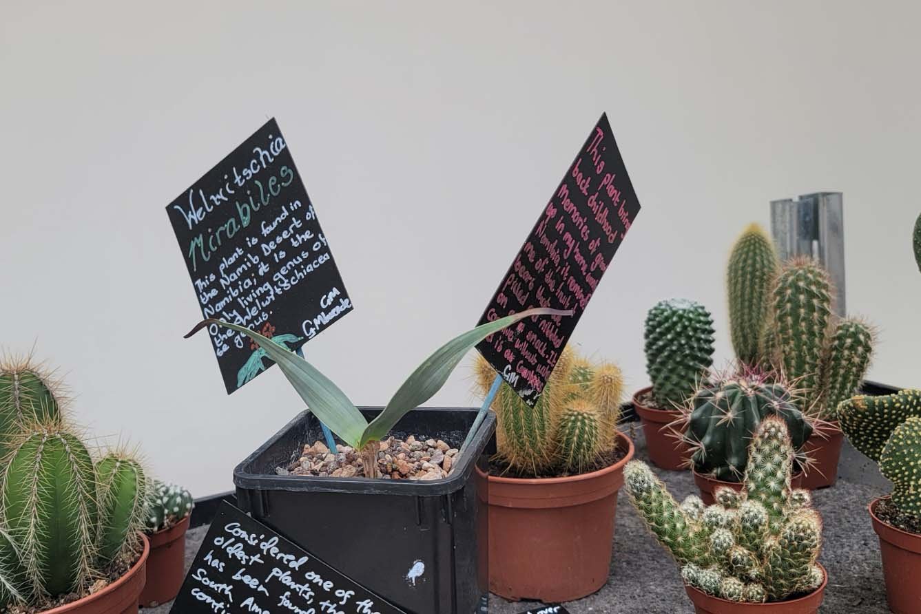 The Waiting Gardens of the North.042.jpg