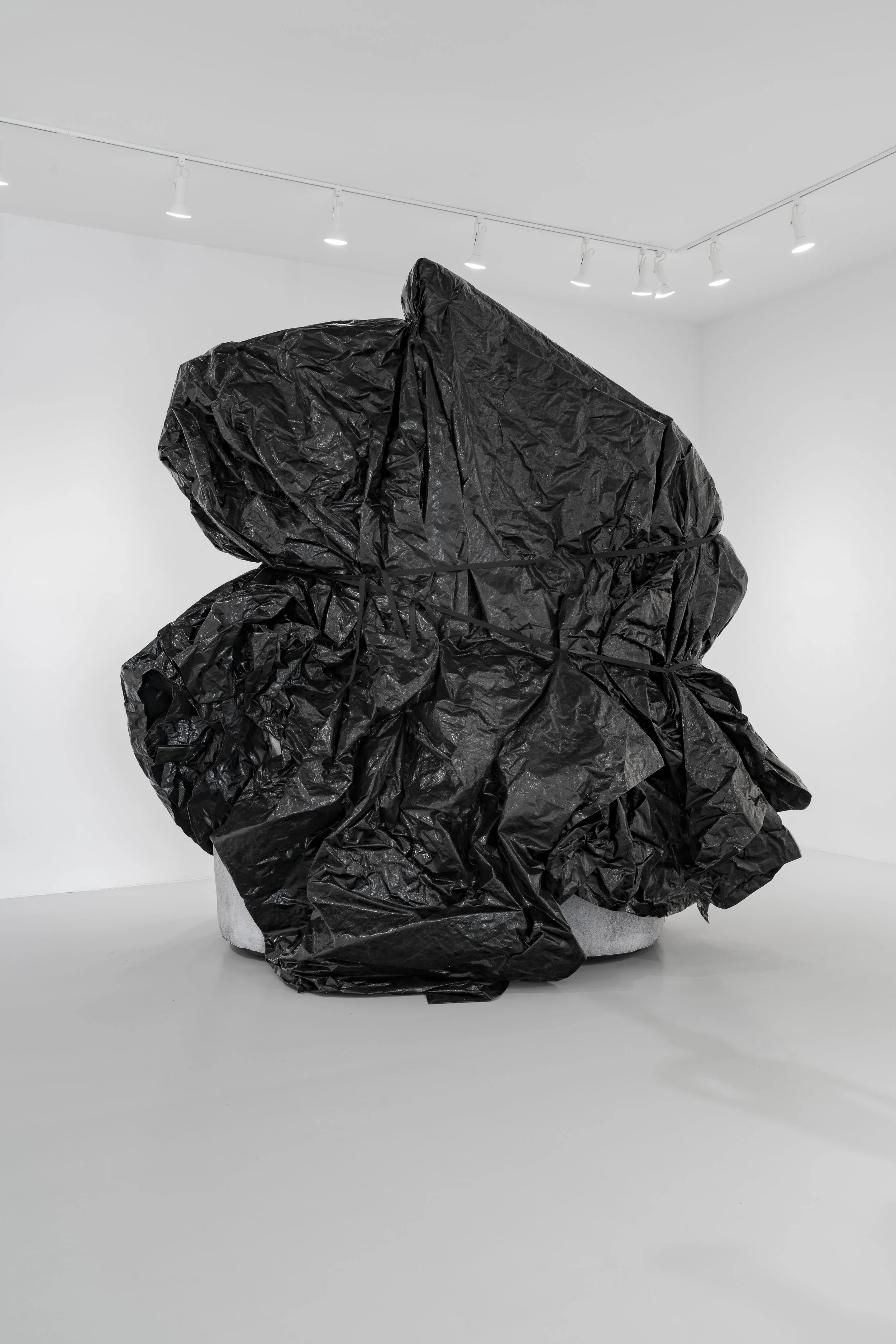 An inflatable sculpture, Behemoth, invokes the redacted monuments shrouded in black tarps in cities like Charlottesville and Chicago. Perpetually rising and falling, it suggests the ongoing cruelty of deferral and debate around the removal of these m