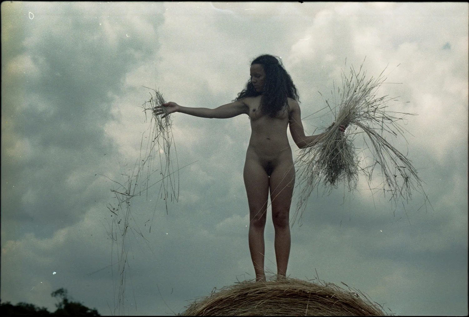 35mm.clr.114.4.jpg