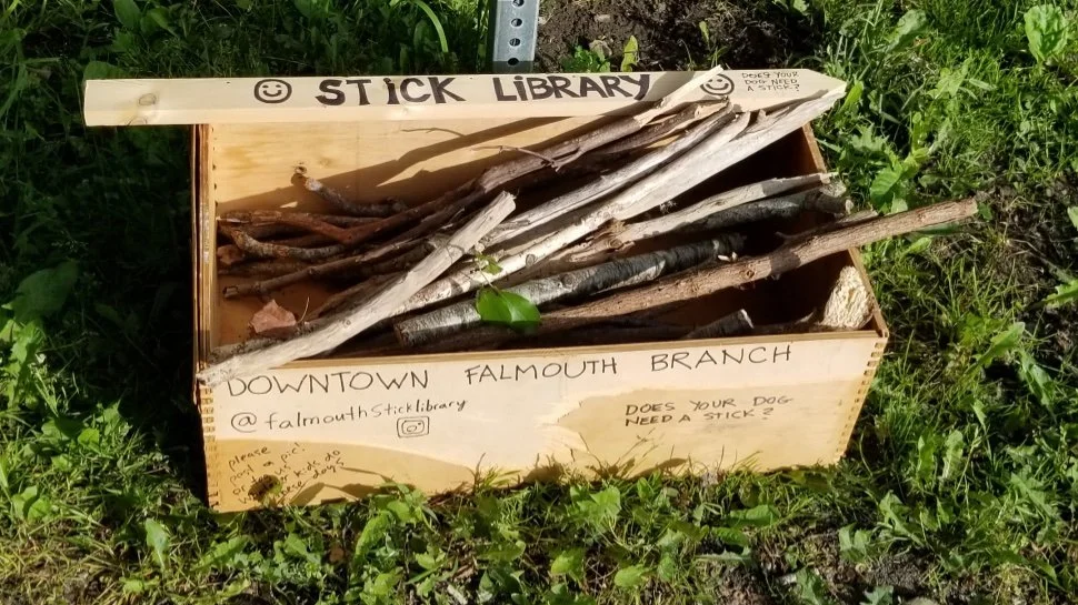 January 8, 2023 Salty Air Publishing Newsletter