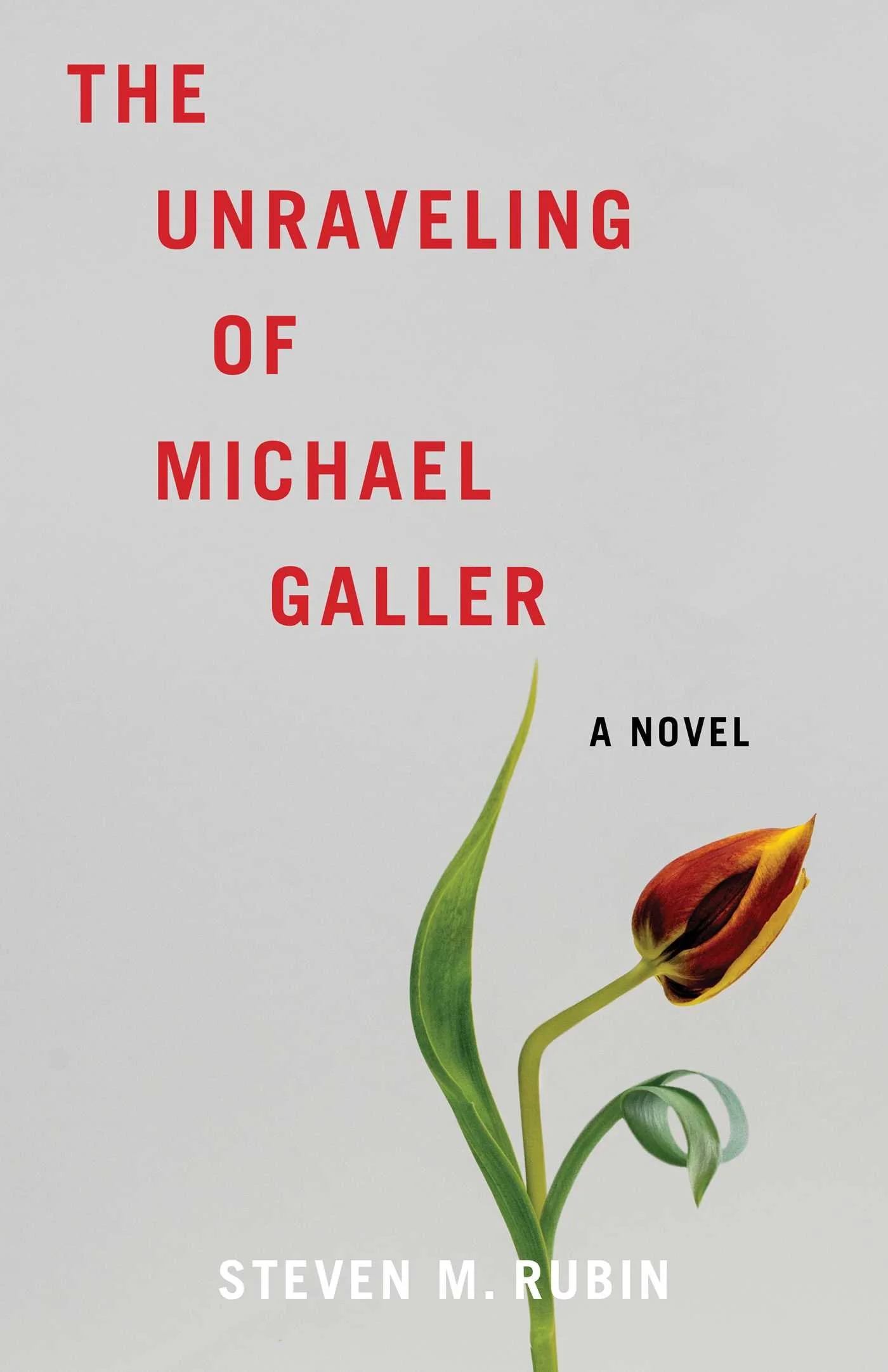 The Unraveling of Michael Galler - Steven M. Rubin
