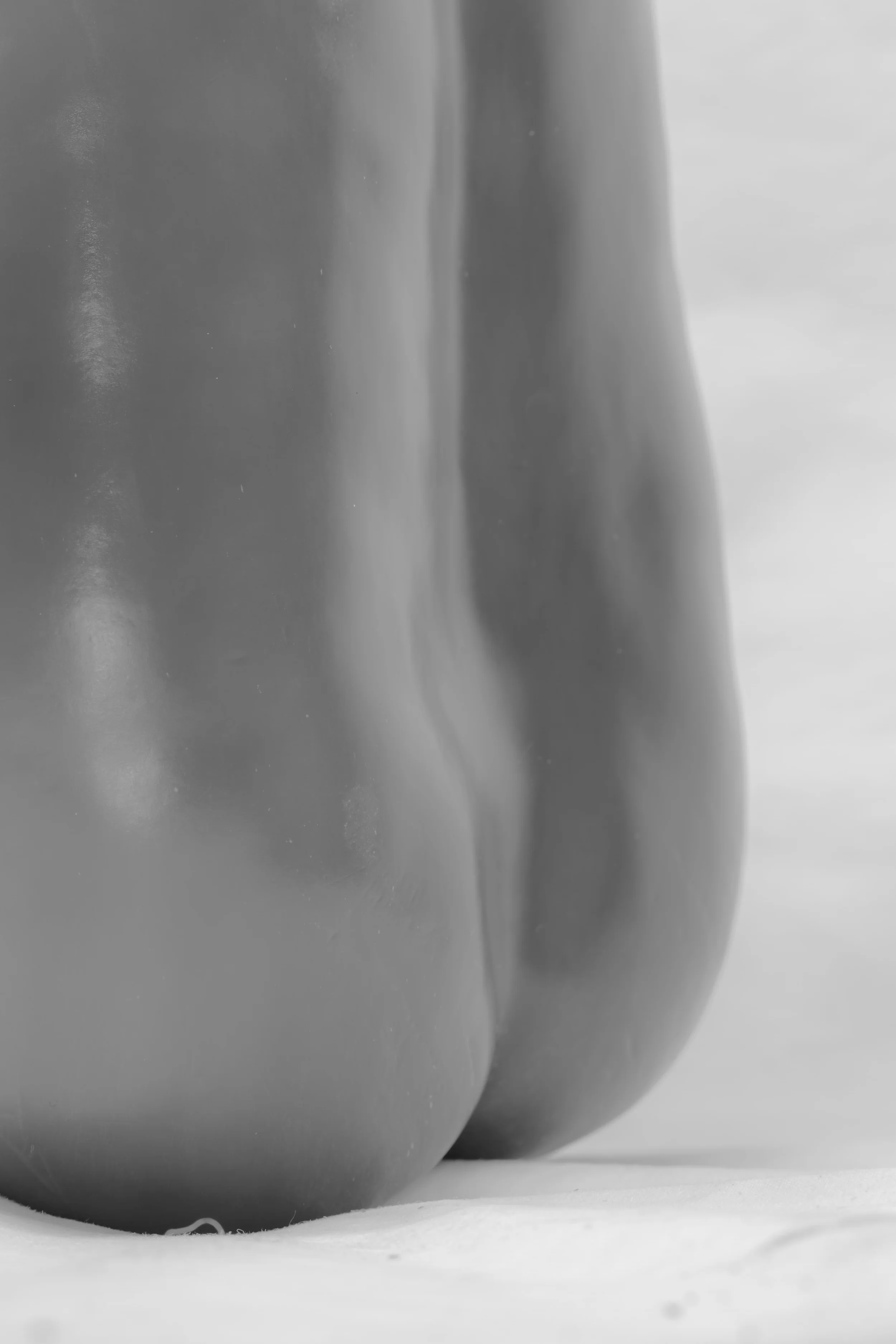 _MG_3507_1.jpg