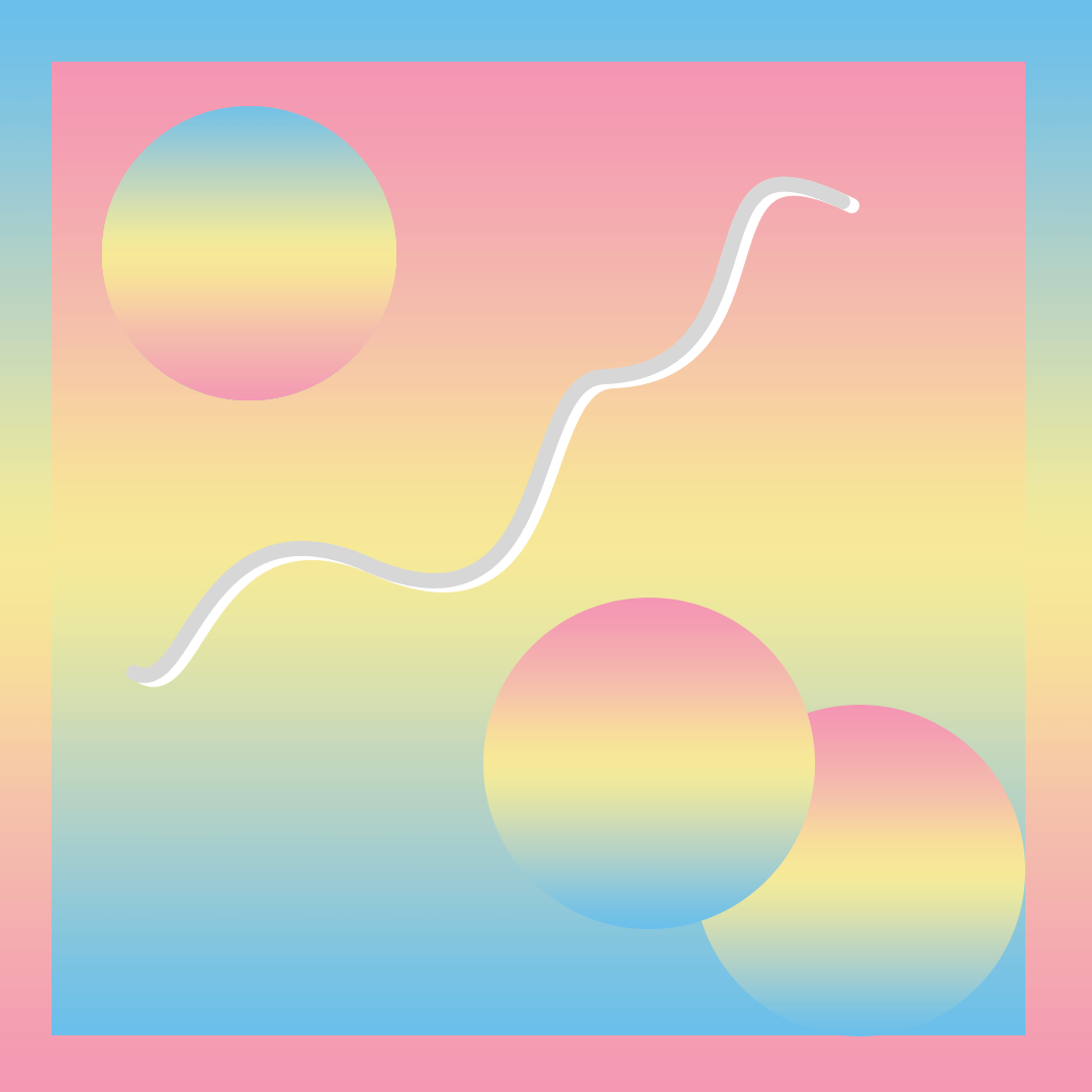 square.gif