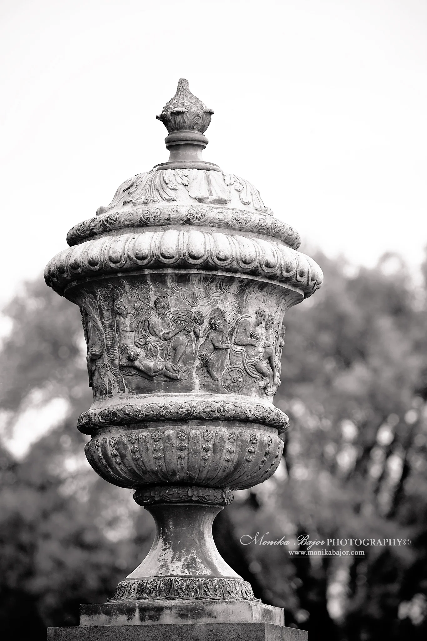 IMG_2864bw.jpg