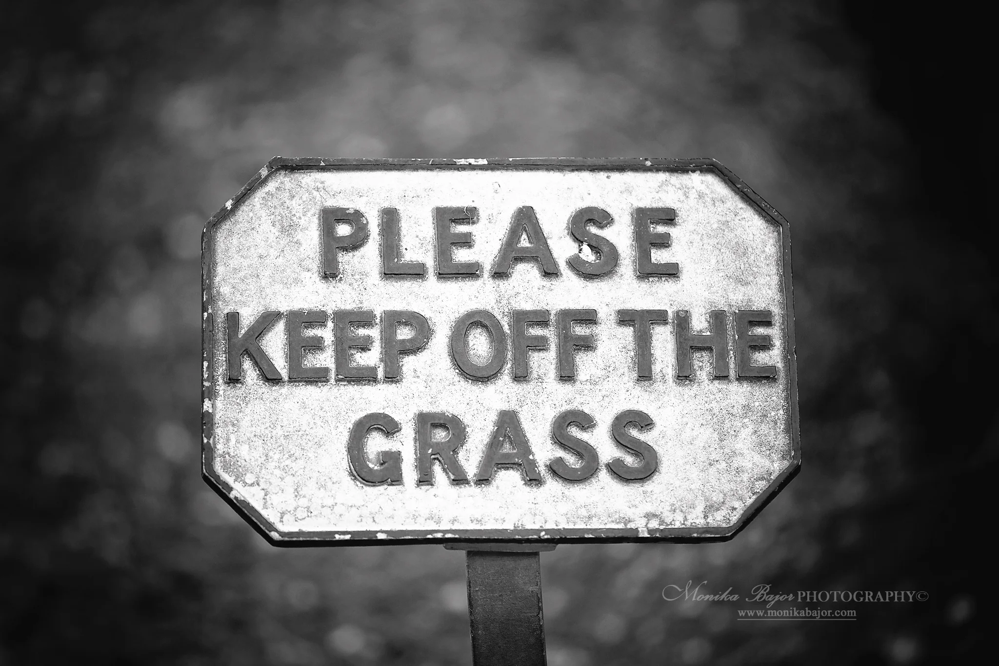 IMG_2865bw.jpg