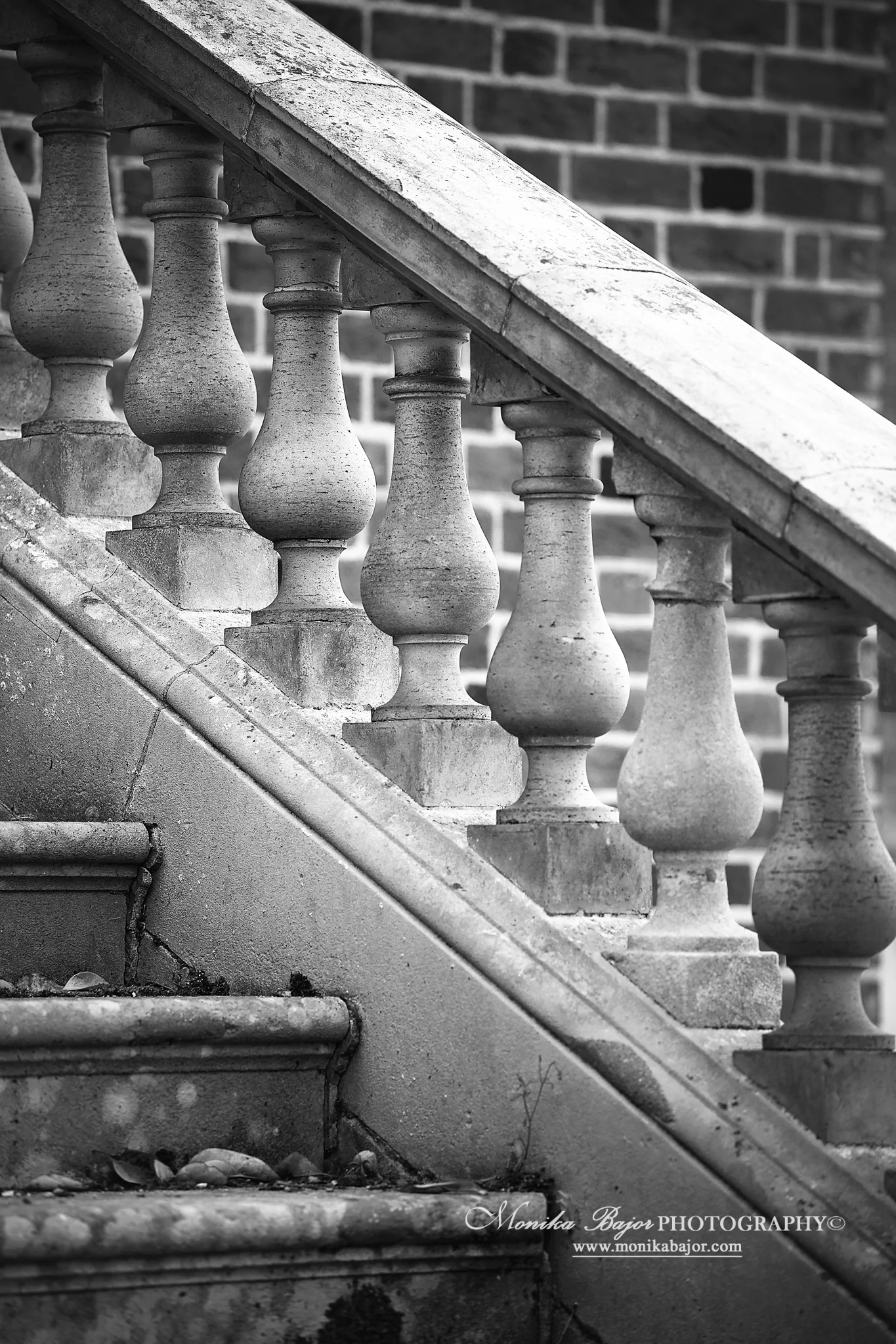 IMG_2877bw.jpg