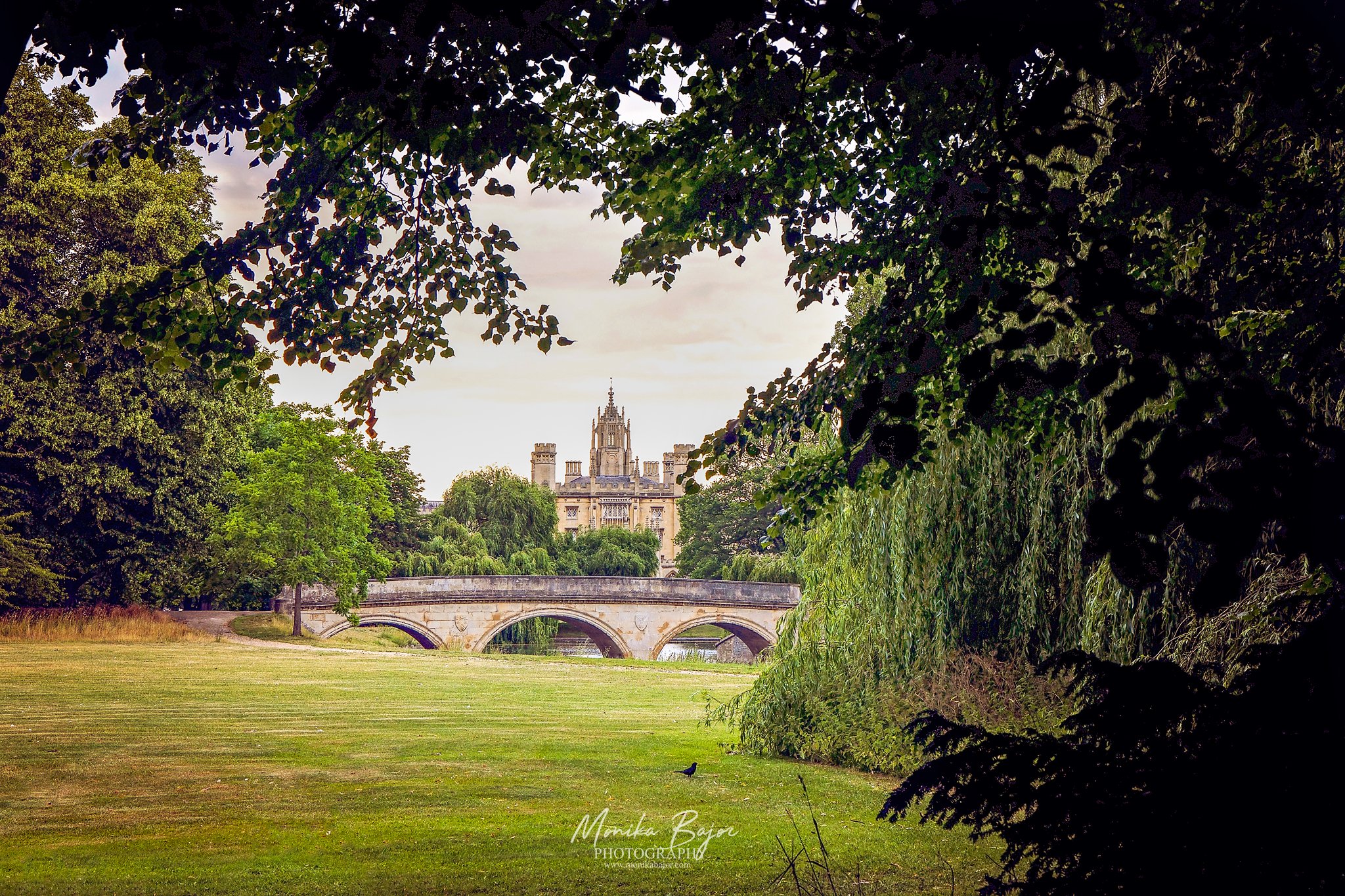01-cambridge-university-england-bridge-green-monika bajor photography.jpg