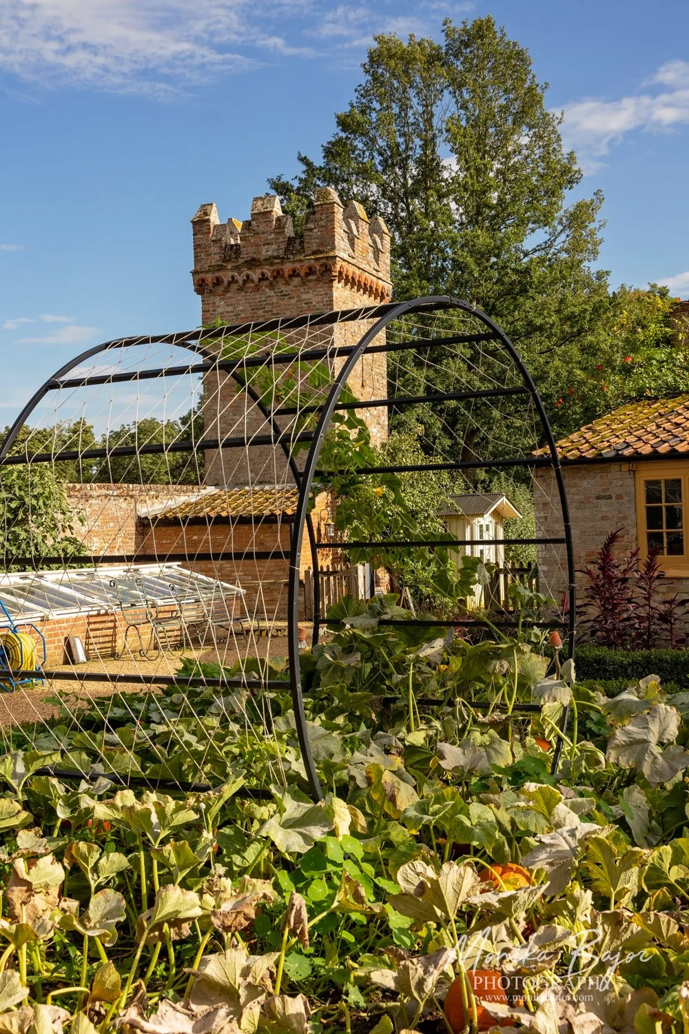 37Monika Bajor Photography-Oxburgh-Oxborough-Weeding Castle-Thetford Forest.jpg