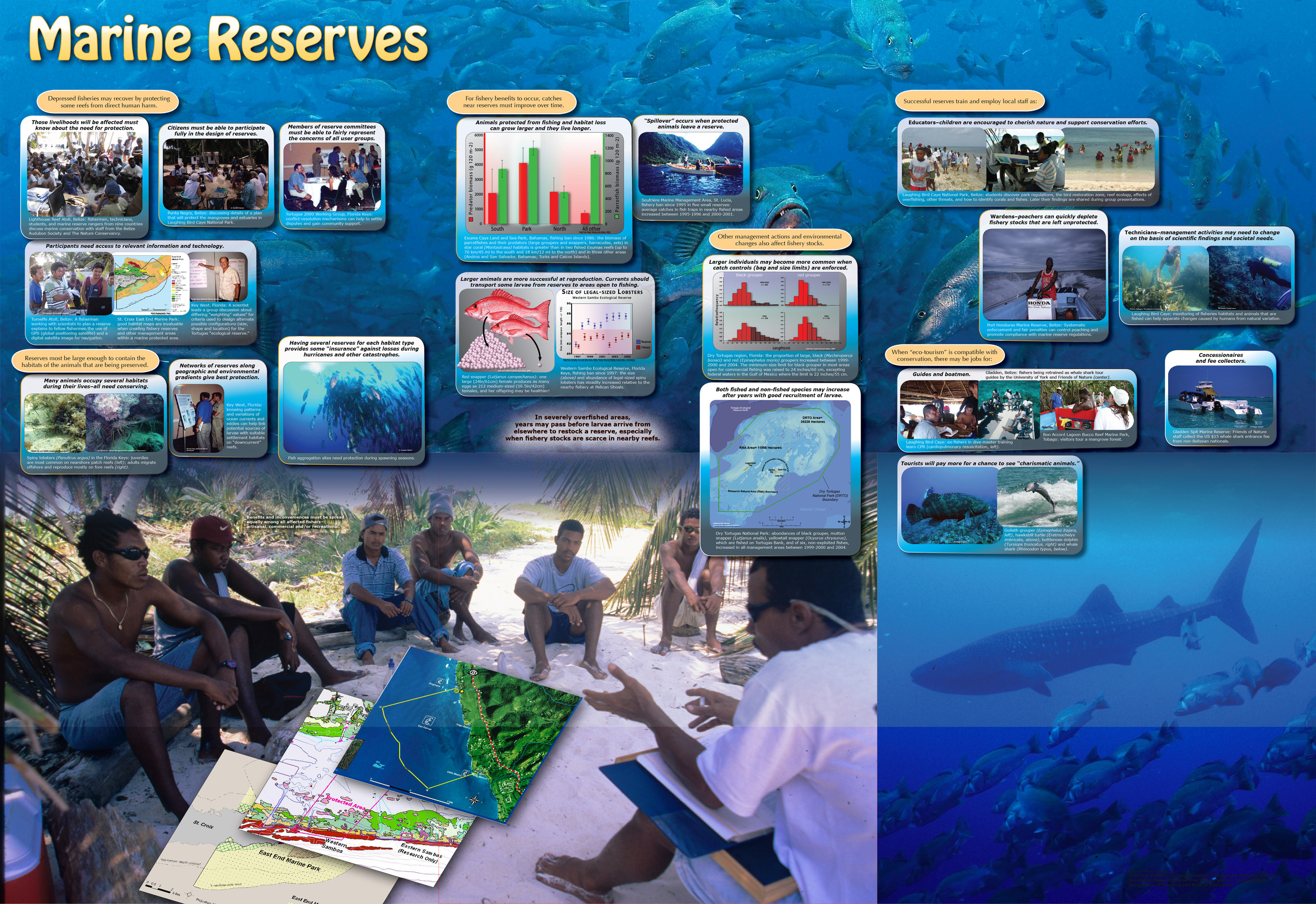 10-RESERVES-G3.jpg