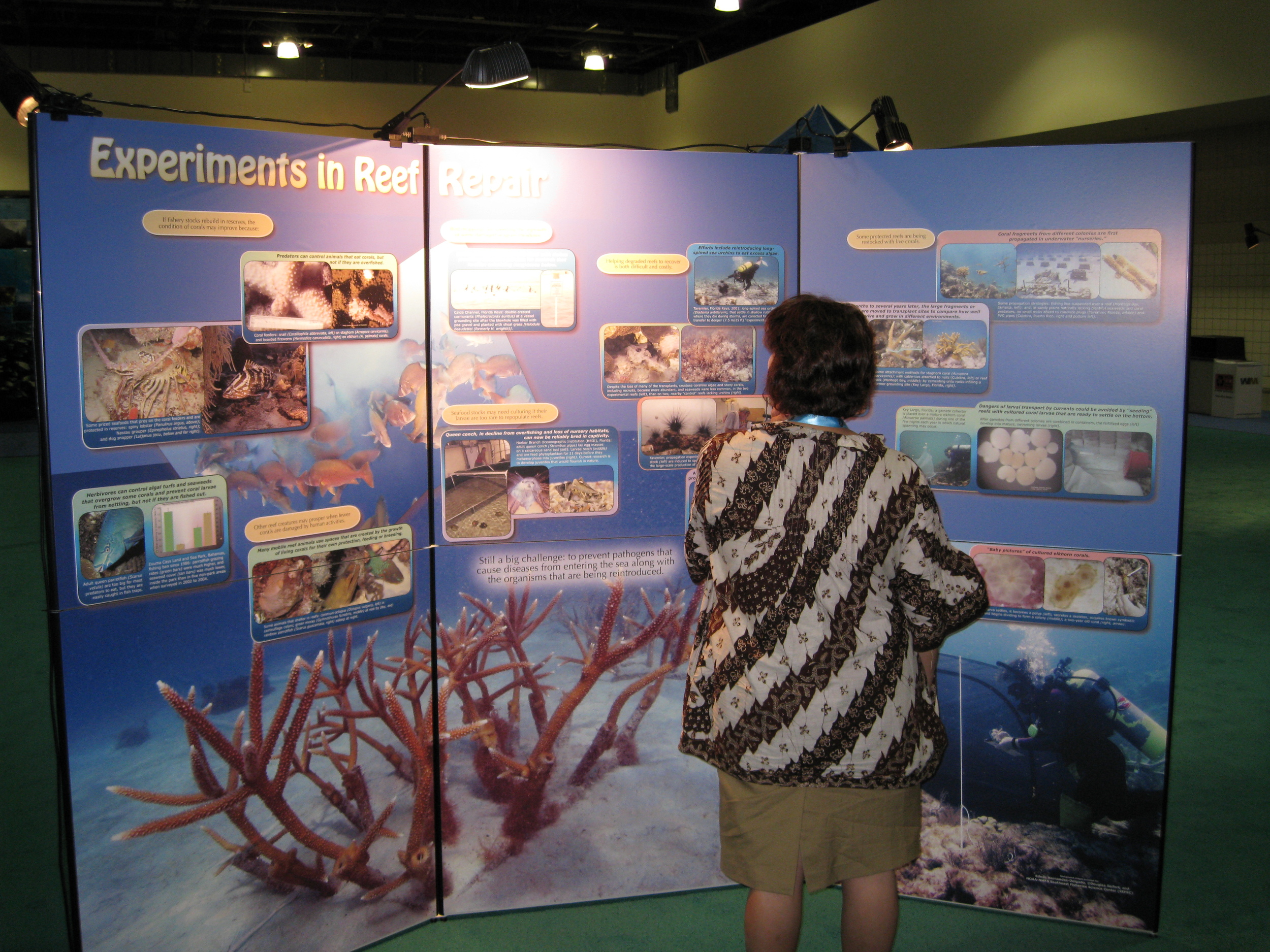 Our-Reef-Doc-Pic1.jpg